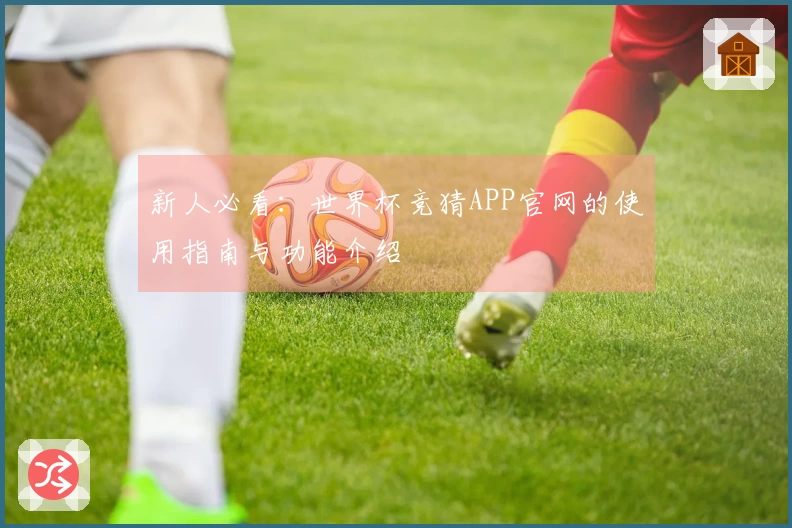 新人必看：世界杯竞猜APP官网的使用指南与功能介绍