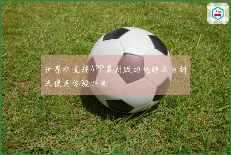 世界杯竞猜APP最新版的优缺点分析及使用体验评测